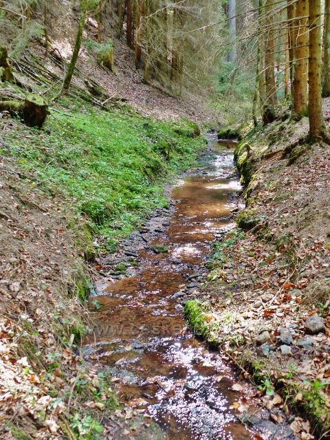 Dlouhoňovice - Horecký potok nad Žampašskou studánkou