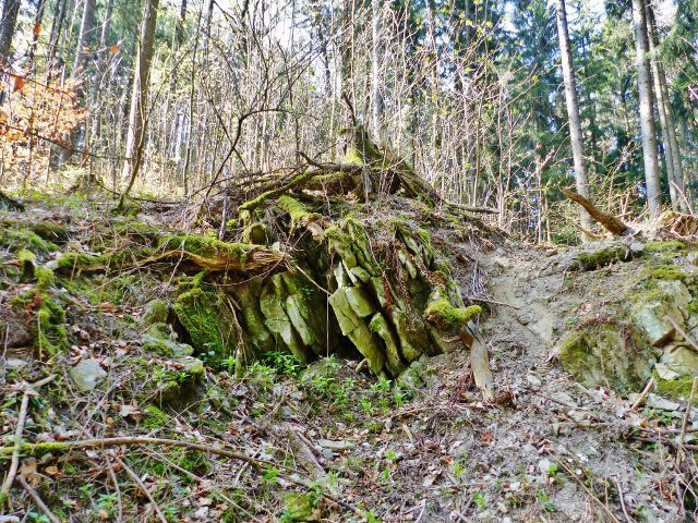 Dlouhoňovice - působení zvětrávání opuky nad břehem Horeckého potoka
