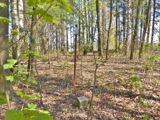 Žamberk - vrchol Velkého hájku 484 m.n.m.