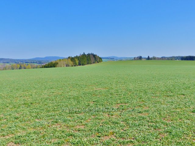 Žamberk - pohled od Velkého hájku směrem k Suchému vrchu a Bukové hoře(rýsují se na obzoru)
