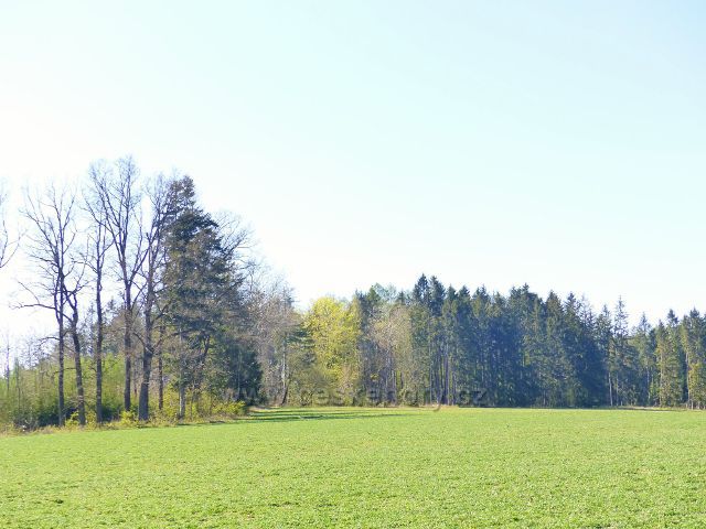 Žamberk - pohled od letiště k Velkému hájku(484 m.n.m.)
