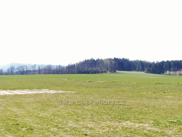 Lukavice - pohled z letiště k Velkému hájku