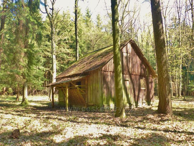 Žamberk - kombinovaný přístřešek s krmelcem  na vrcholu vrchu Na Veselíčku