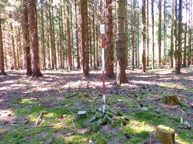 Žamberk - vrchol Na Veselíčku 492 m.n.m.