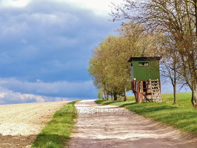 Polní cesta z Bohousové do České Rybné II.(Posed)