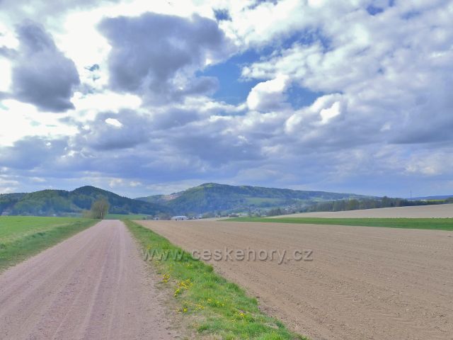 Polní cesta z Bohousové do České Rybné IV. (Chlum)