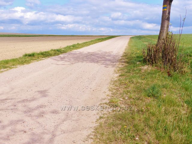 Polní cesta z Bohousové do České Rybné V. (Cyklostezka)