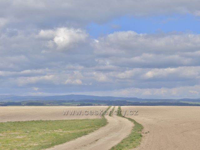 Polní cesta z Bohousové do České Rybné VI. (Zákruta)