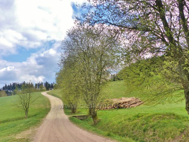 Polní cesta z Bohousové do České Rybné VIII. (Skládka dřeva)