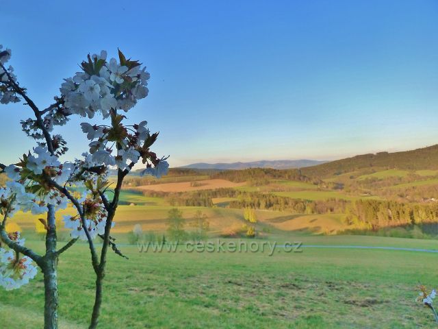 Pohled z úbočí Studeného na Mlýnský vrch a úbočí Vysokého kamene