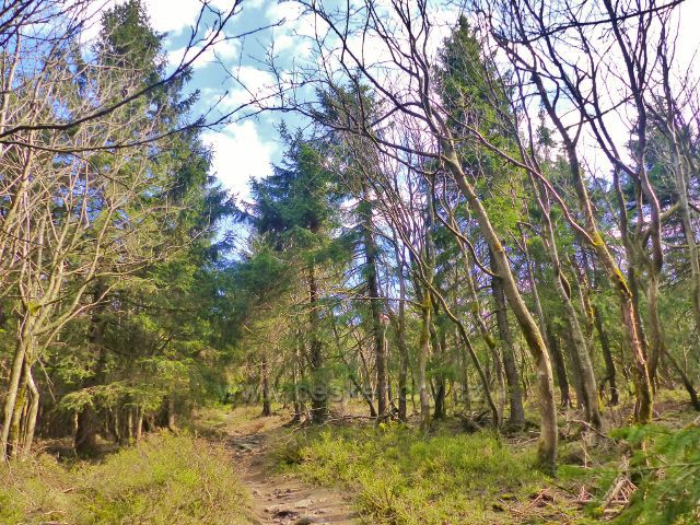 Šerlich - stezka Pruským vrchem k Jiráskově stezce