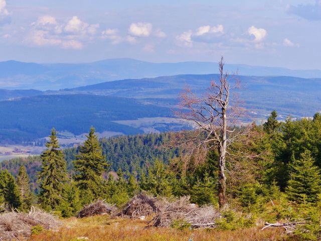 Pohled na Bystřické hory