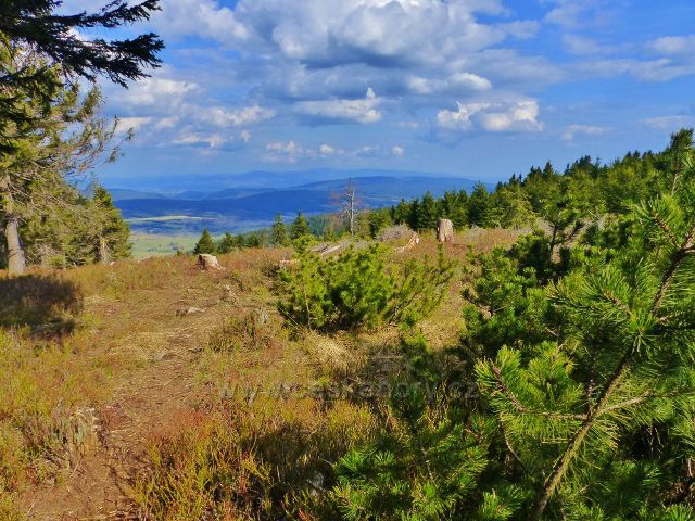 Pěšina k výhledovému místu pod Jiráskovo cestou