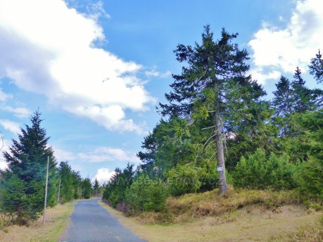 Tabulka Revitalizace poškozených lesů u Jiráskovy cesty