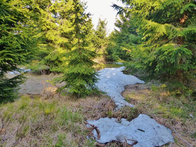 Zbytky sněhu u cesty po vrcholu Velké Deštné k rozhledně