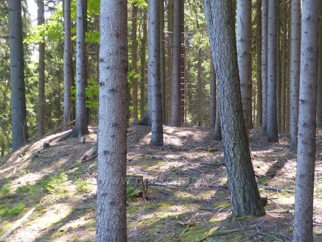 Vrchol vrchu Pilátka 530 m.n.m.