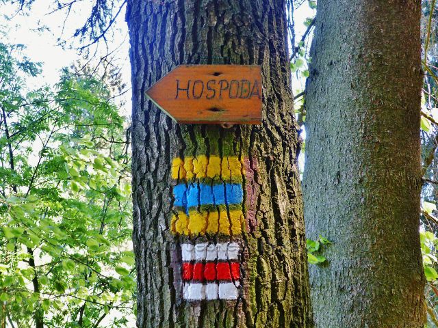 Turistické značení trasy na okraji lesa napovídá, že "všechny cesty vedou do hospody"