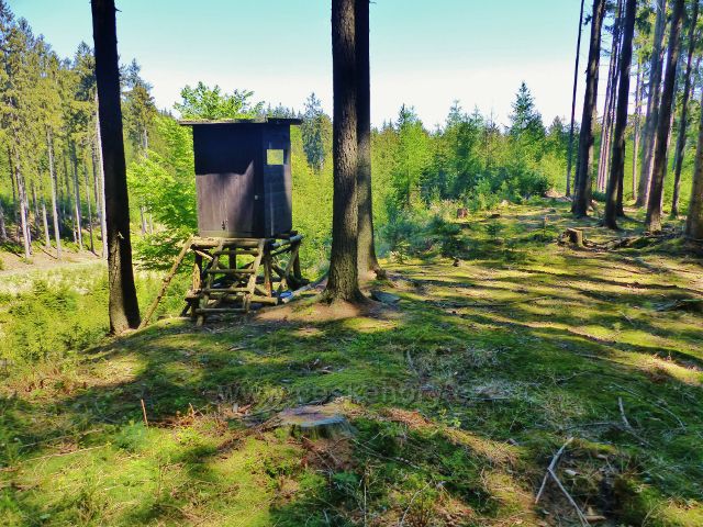 Posed poblíž cesty po červené TZ na Žampach