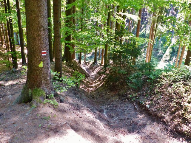 Trasa po červené TZ na Žampach využívá často úvozové cesty