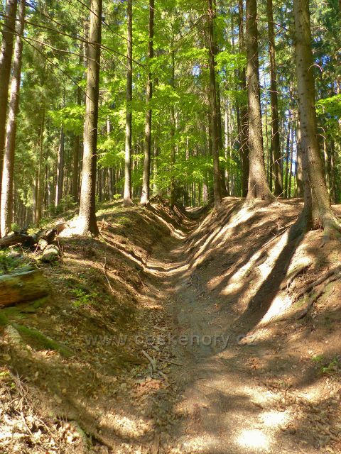 Trasa po červené TZ na Žampach vede opět úvozovou cestou