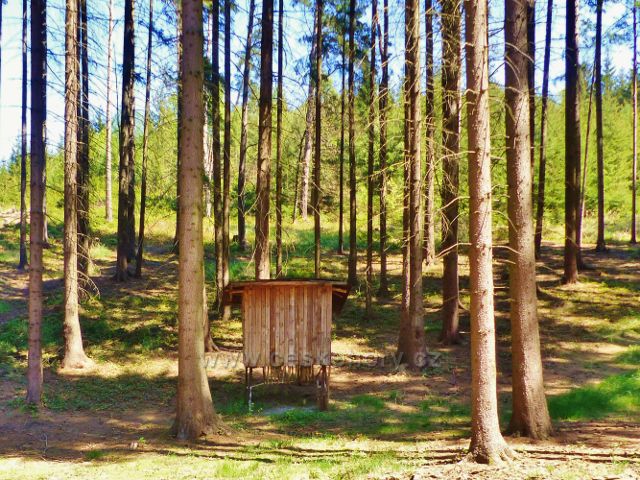 Krmelec na úpatí vrchu Žampach