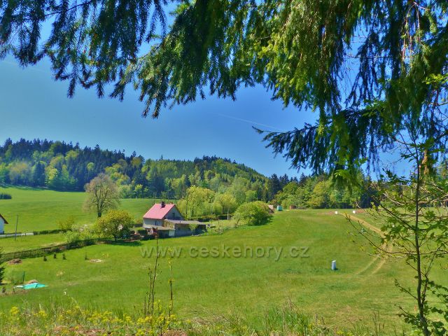 Pohled u úpatí vrchu Žampach k silničce do Hlavné a Českých Libchav