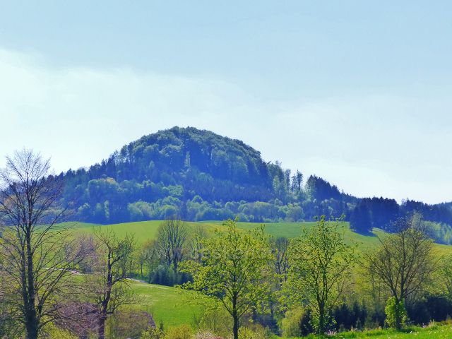 Pohled od cesty z Písečné do Žamberka na vrch Žampach