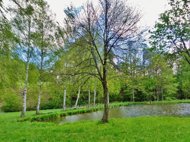 Kunvald - rybník na Rokytence