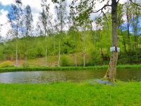 Kunvald - rybník na Rokytence