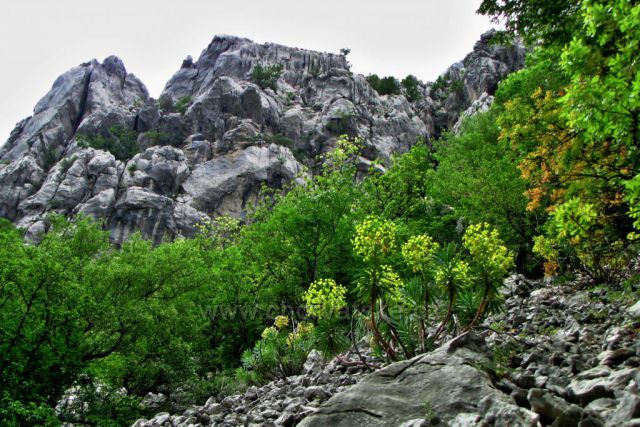Národní park Paklenica