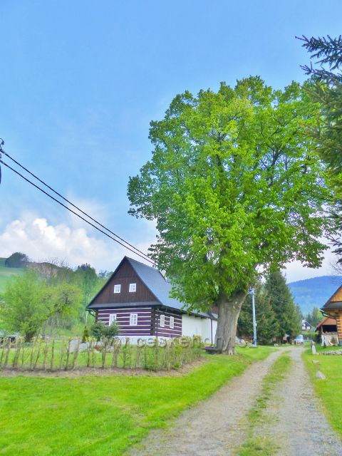 Jedna z mnoha rekreačních chalup v Kunčicích u Starého Města pod Sněžníkem