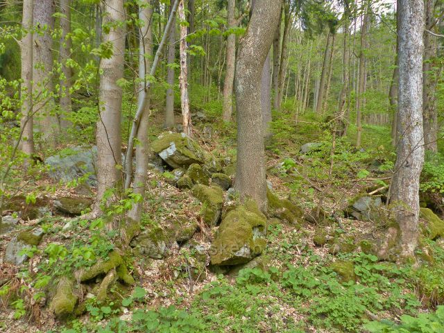 Kamenité úpatí zalesněného svahu nad silničkou  na Paprsek