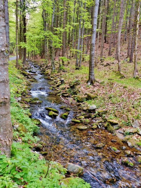 Silničku na Paprsek stále provází Kunčický potok