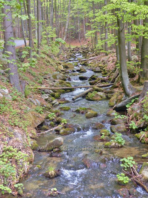 Kamenité řečiště Kunčického potoku