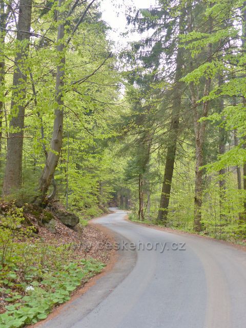 Silnička k chatě Paprsek se vine za stálého mírného stoupání k svému cíli