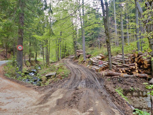 Skládky vytěženého dřeva na odvozním místě u silničky na Paprsek