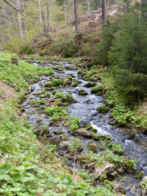 Jedna z podob řečiště Kunčického potoku
