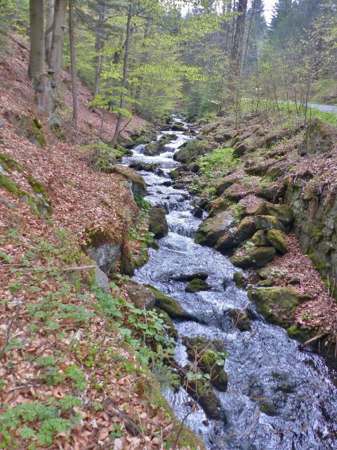 Kunčický potok po levé straně silničky na Paprsek
