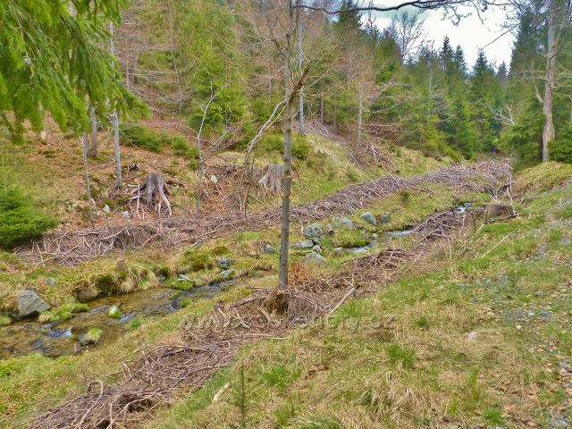 Kunčický potok pod Medvědí boudou