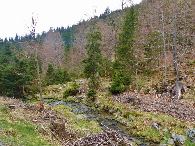 Kunčický potok pod Medvědí boudou