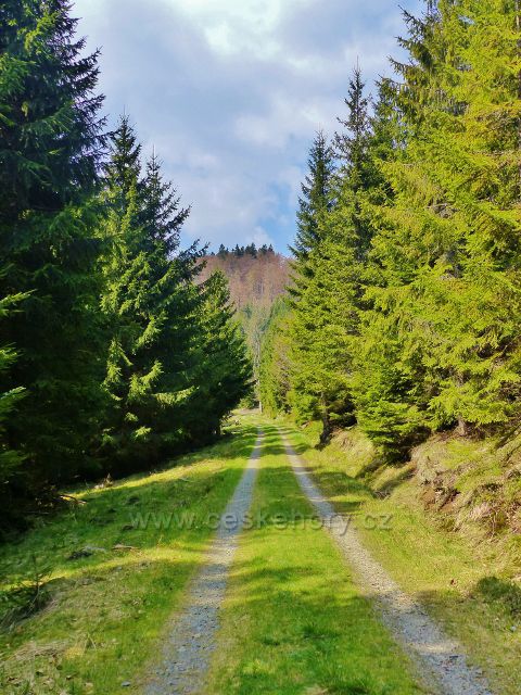 Cesta po červené TZ k Aloisovu pramenu