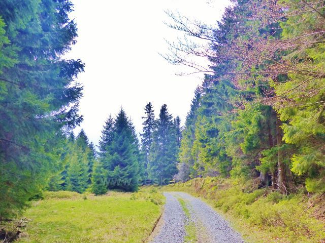 Cesta po červené TZ od Medvědí boudy k Růžové boudě