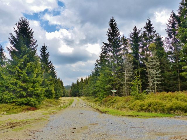 Cesta z rozcestí U Růžové boudy po červené TZ k chatě Paprsek