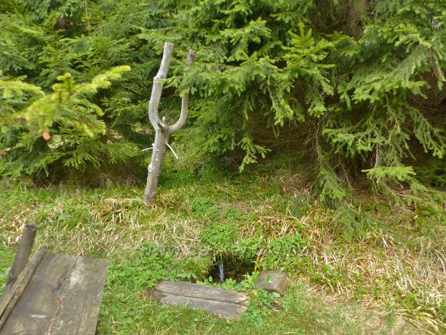 Pramen U Růžové boudy