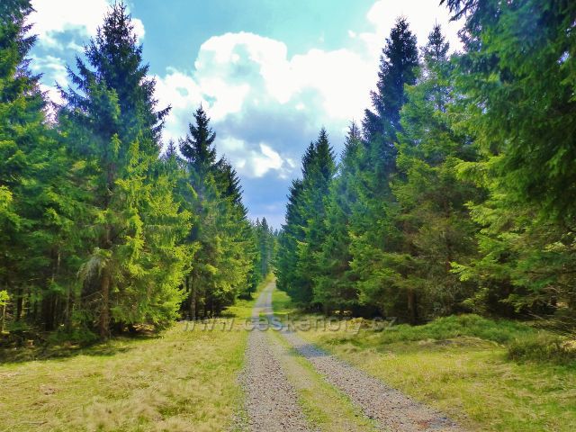 Cesta po červené TZ na chatu Paprsek