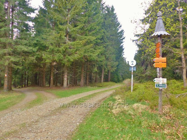 Rozcestí U Paprsku.Vlevo odbočuje cesta po zelené TZ na vrch Větrov (918 m.n.m.)