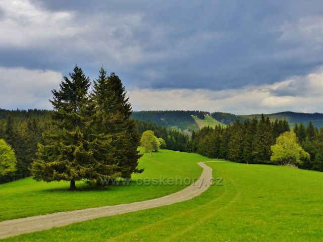 Nová cesta z osady Velké Vrbno k budoucí Dalimilově rozhledně