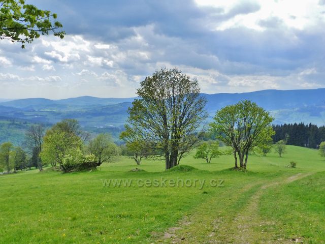 Travnatá cesta po zelené TZ z Větrova ke Starému kopci