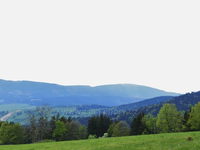 Pohled z úbočí Větrova ke Králickému Sněžníku