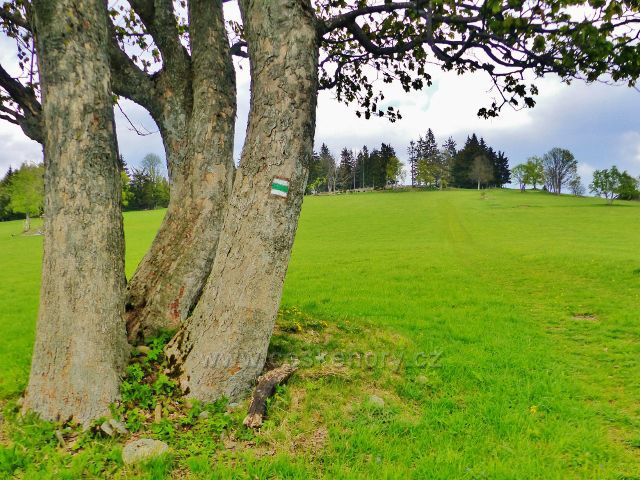Cesta po zelené TZ z Větrova ke Starému kopci